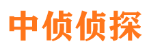 宾川市婚外情调查